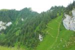 2014-07-05_Laengental-N-Hochweg (814)b. JPG